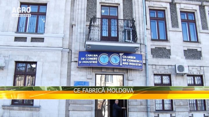 Ce fabrică Moldova