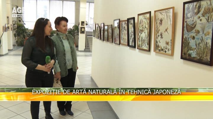 Expoziție de artă naturală în tehnică japoneză