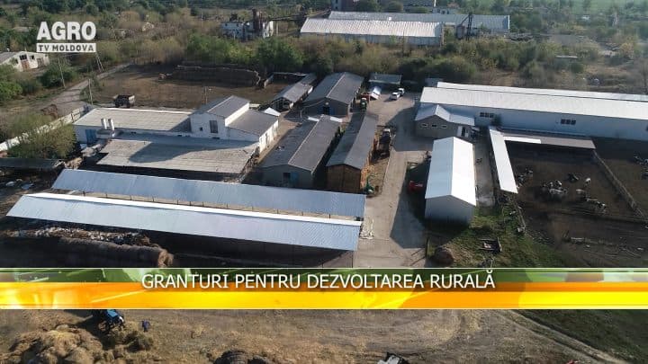 Granturi pentru dezvoltarea rurală