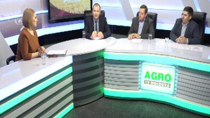 Ia Atitudine cu Tamara Fiștic-Anii: Programul de Dezvoltare a Horticulturii va schimba esențial situația în sector?