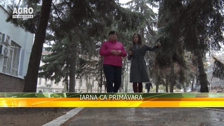 Iarna ca primăvara