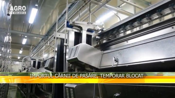 Importul cărnii de pasăre, temporar blocat