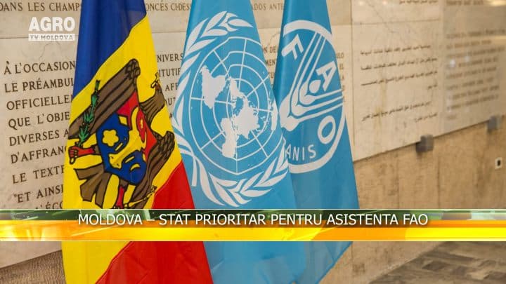 Moldova – stat prioritar pentru asistenta FAO