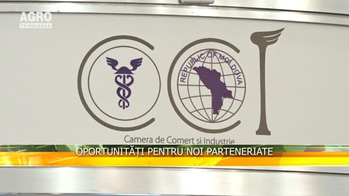 Oportunități pentru noi parteneriate