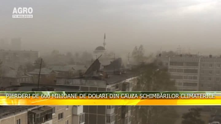 Pierderi de 600 milioane de dolari din cauza schimbărilor climaterice