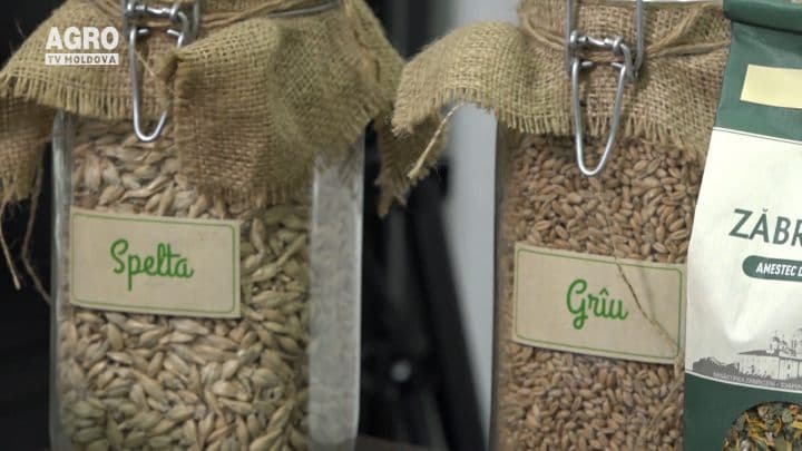 PROBA CALITĂȚII- CUM SĂ ALEGEM PRODUSELE ECOLOGICE