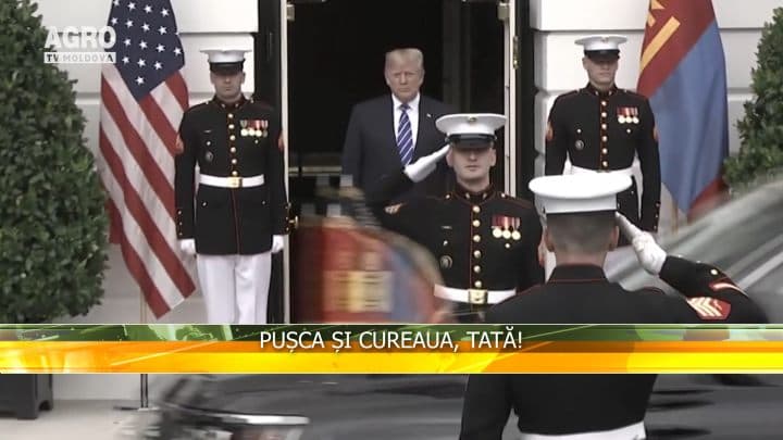 Pușca și cureaua, tată!