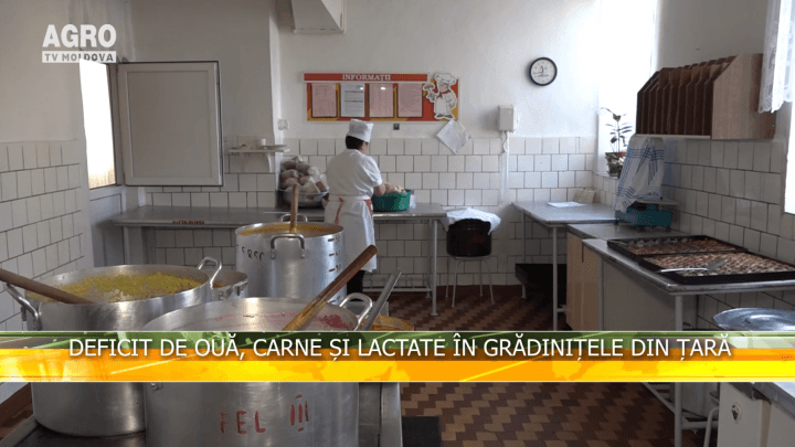 Deficit de ouă, carne și lactate în grădinițele din țară