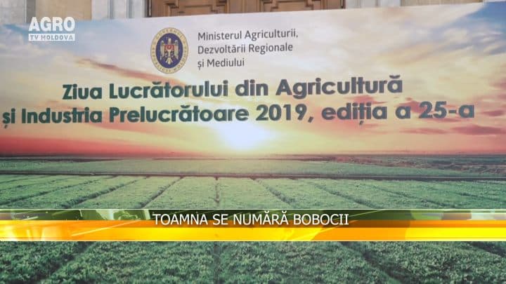 Toamna se numără bobocii