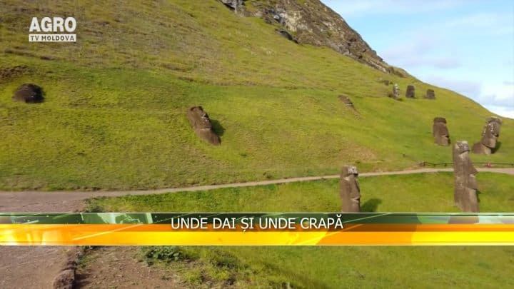 Unde dai și unde crapă