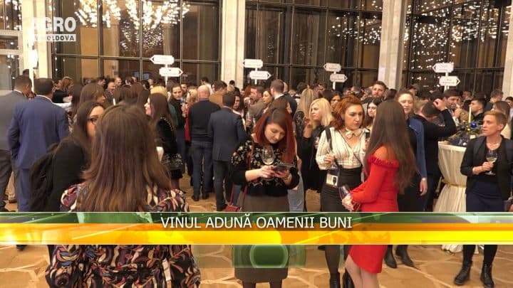 Vinul adună oamenii buni