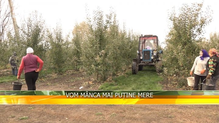 Vom mânca mai puține mere