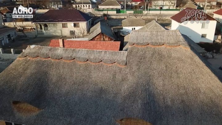 ZONA VERDE-ACOPERIȘUL DIN STUF