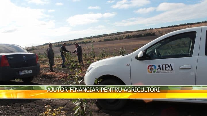 Ajutor financiar pentru agricultori