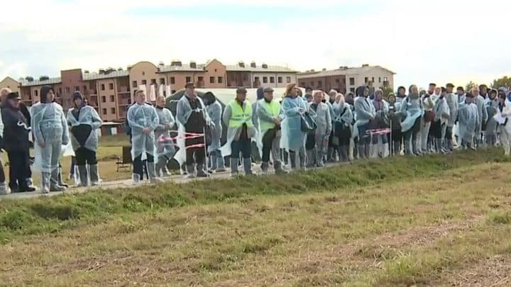 Pesta porcină africană nu poate fi oprită