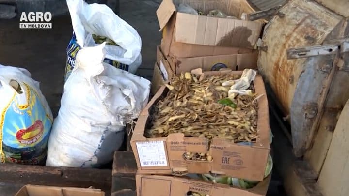 Risipa alimentară poluează planeta