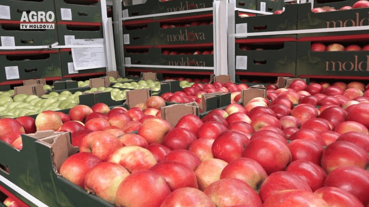 Tipurile de ambalaj pentru măr, greșeli la ambalarea producției