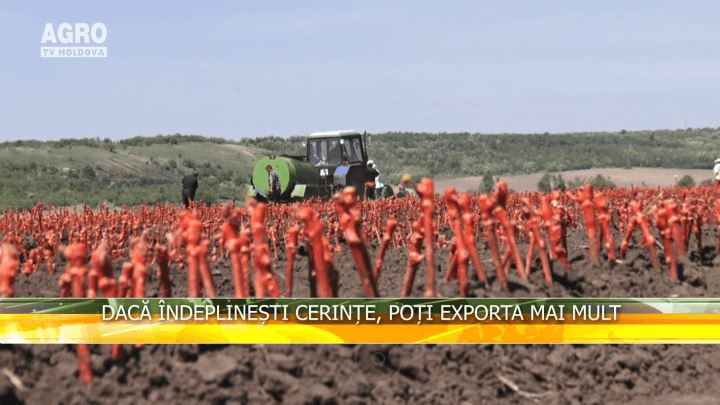 Dacă îndeplinești cerințe, poți exporta mai mult