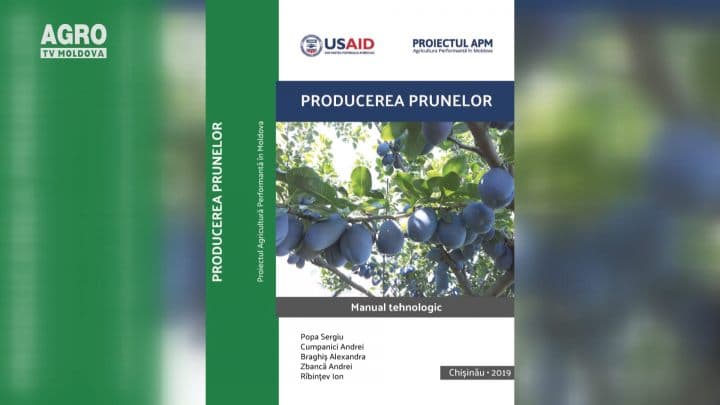 Străinii preferă prunele moldovenești