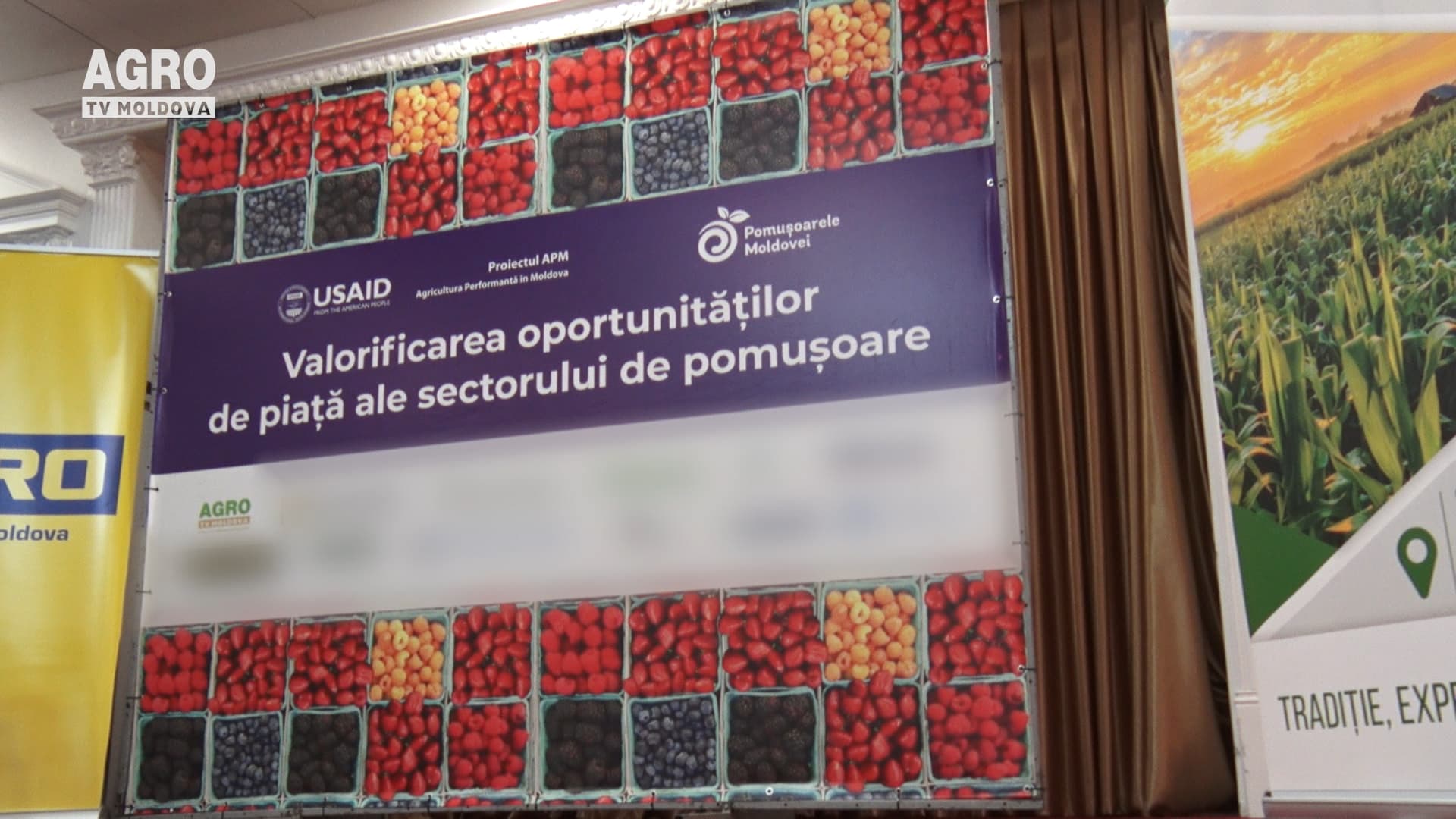 Baciferele — oportunități și valorificare