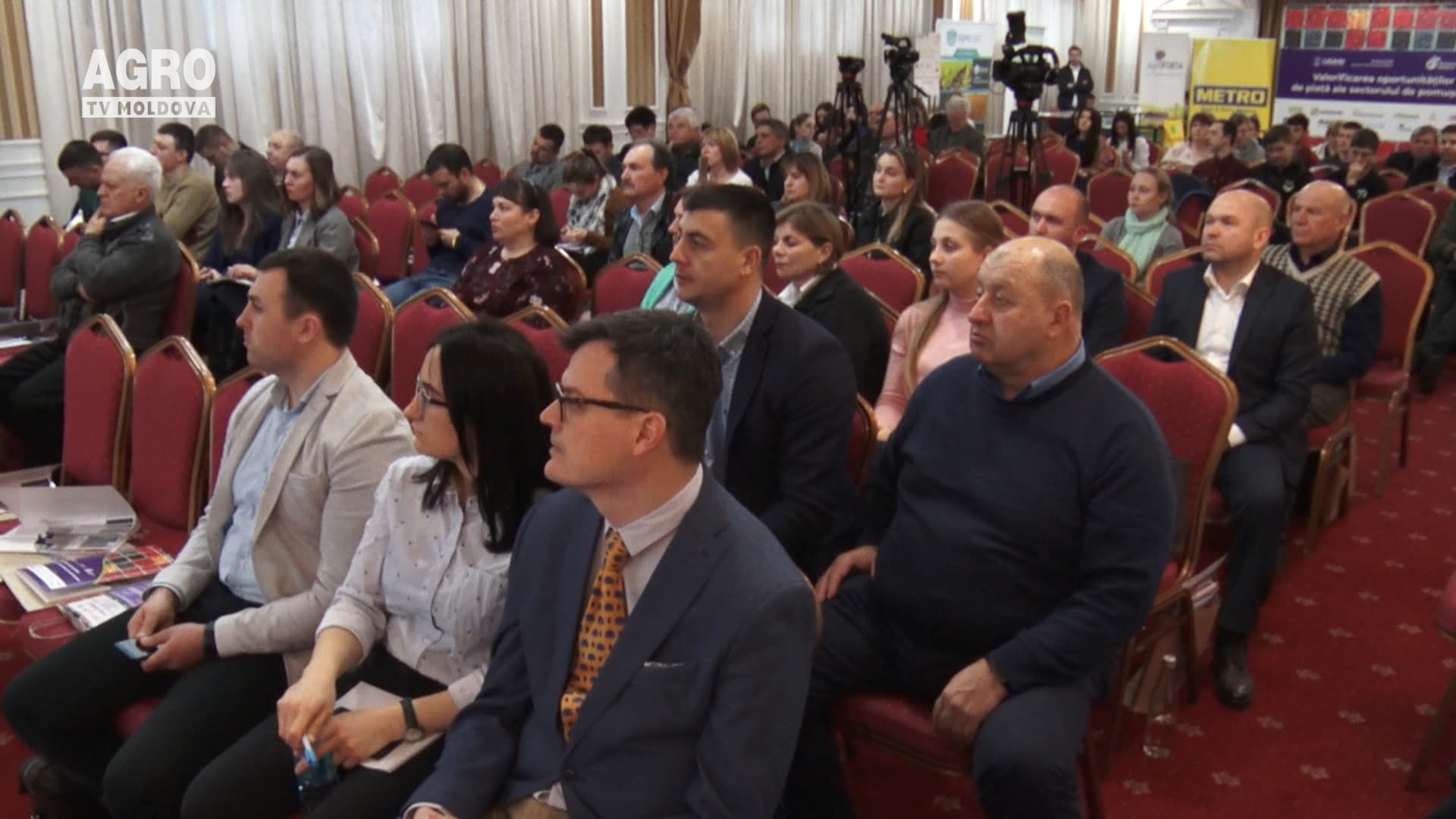 Oportunități și valoare pentru sectorul de pomușoare
