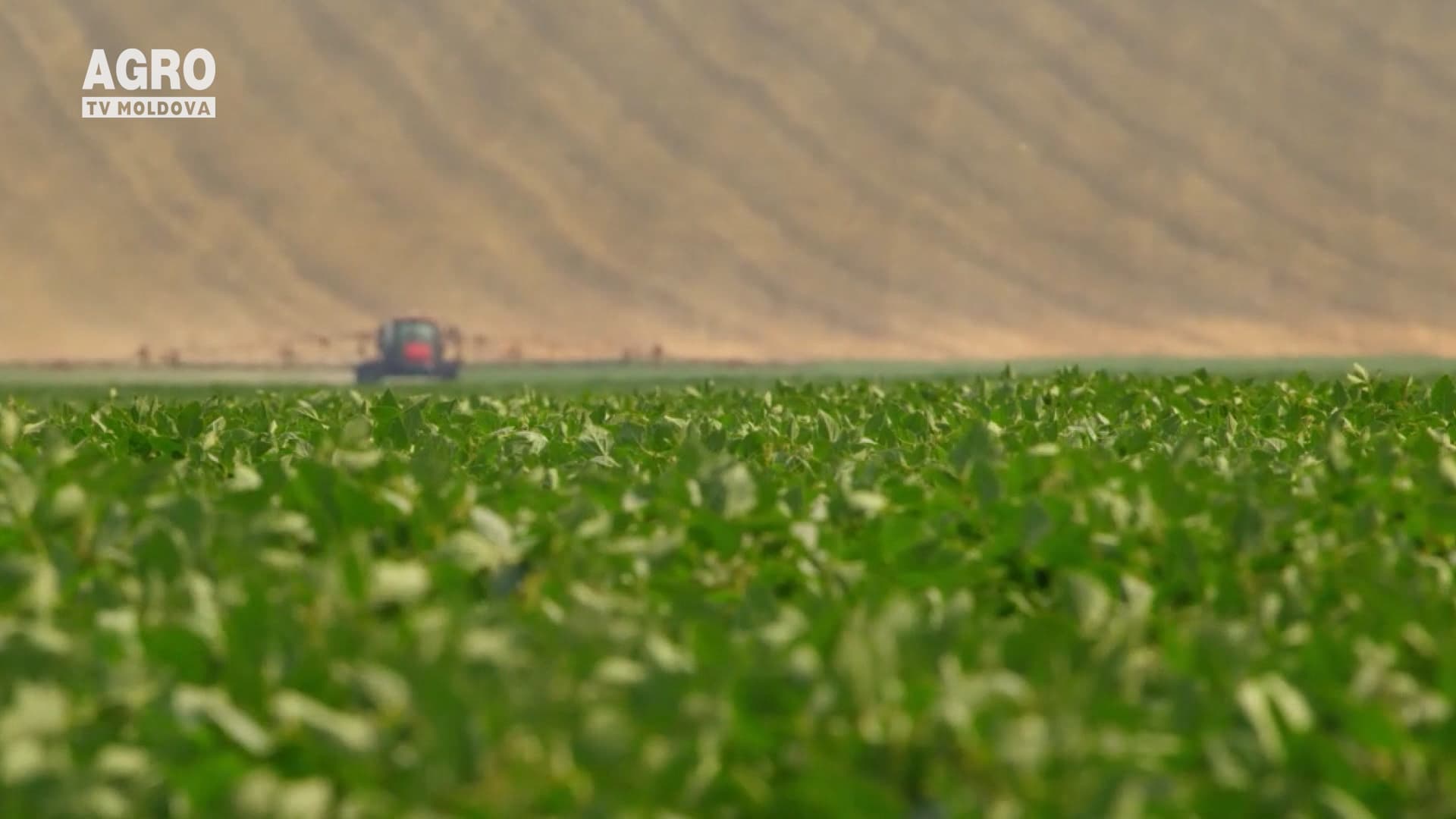 Producătorii agricoli cer ajutorul autorităților