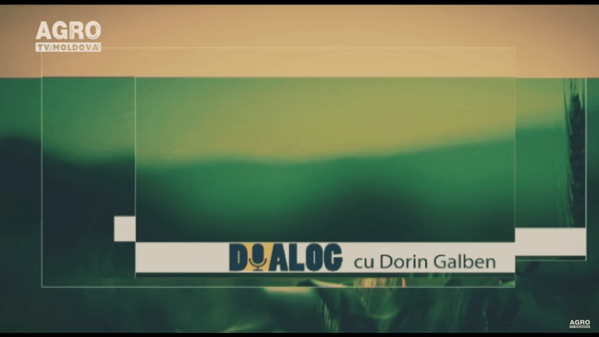 Dialog
