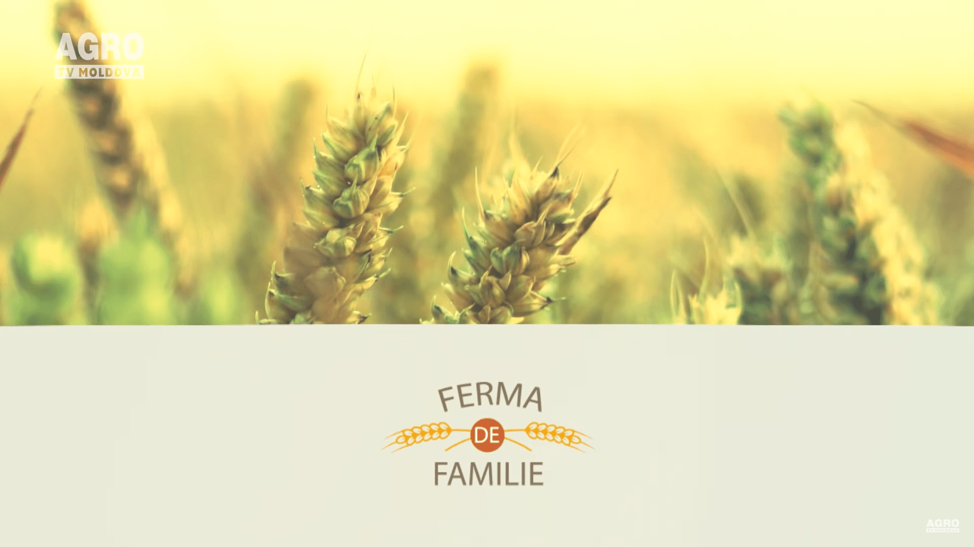Ferma de familie