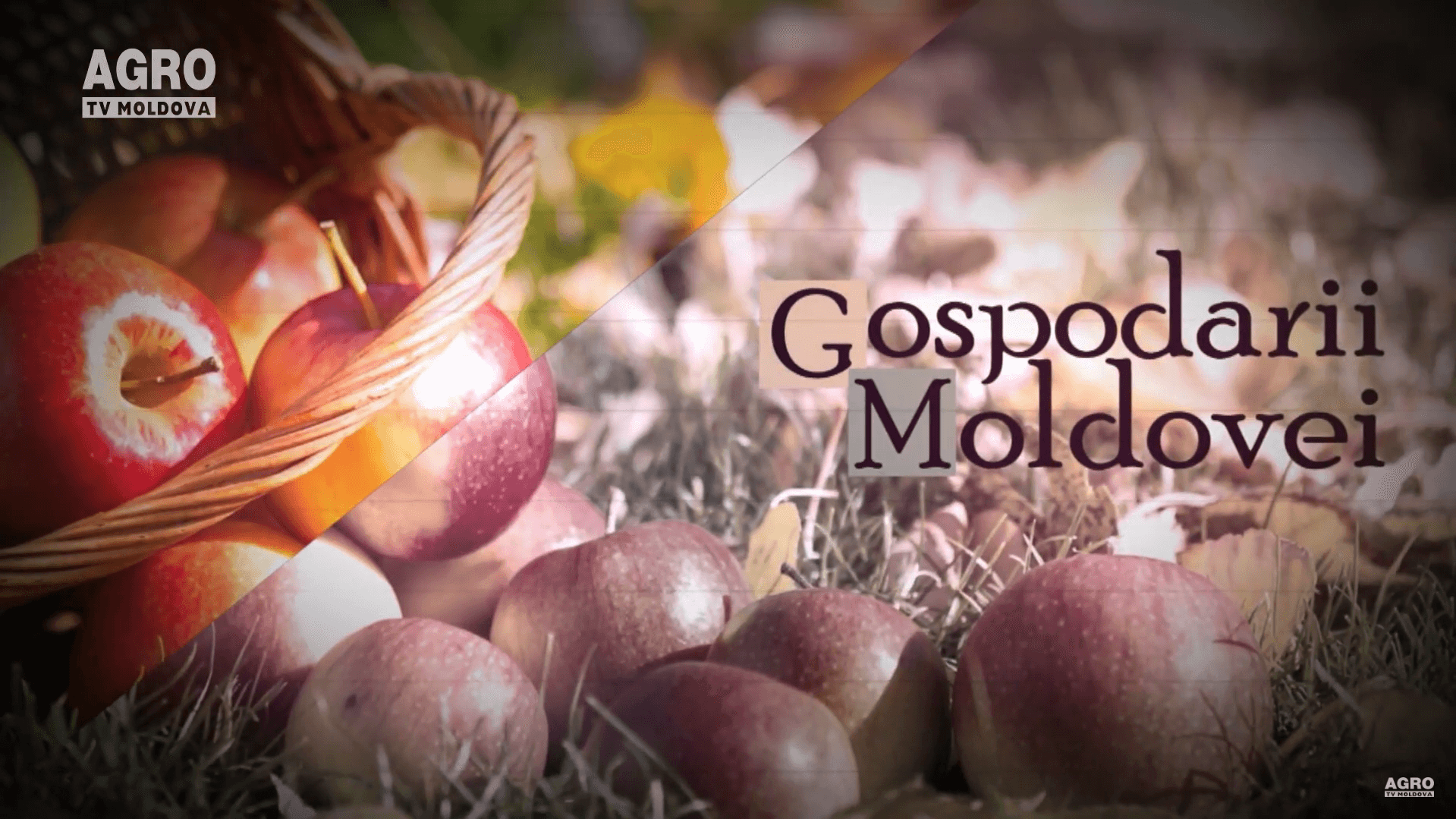 Gospodarii Moldovei