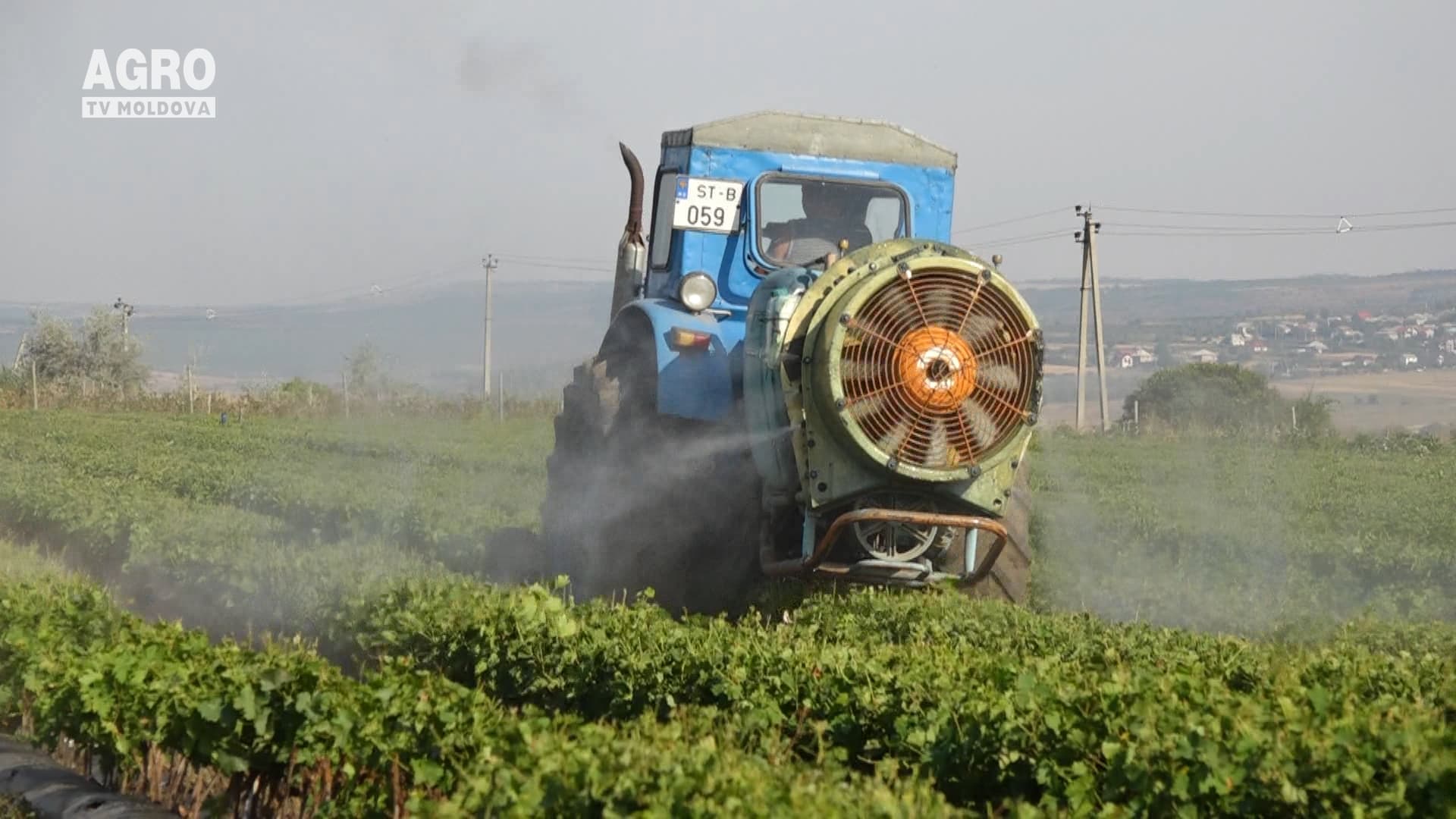 Apicultorii atenționează agricultorii