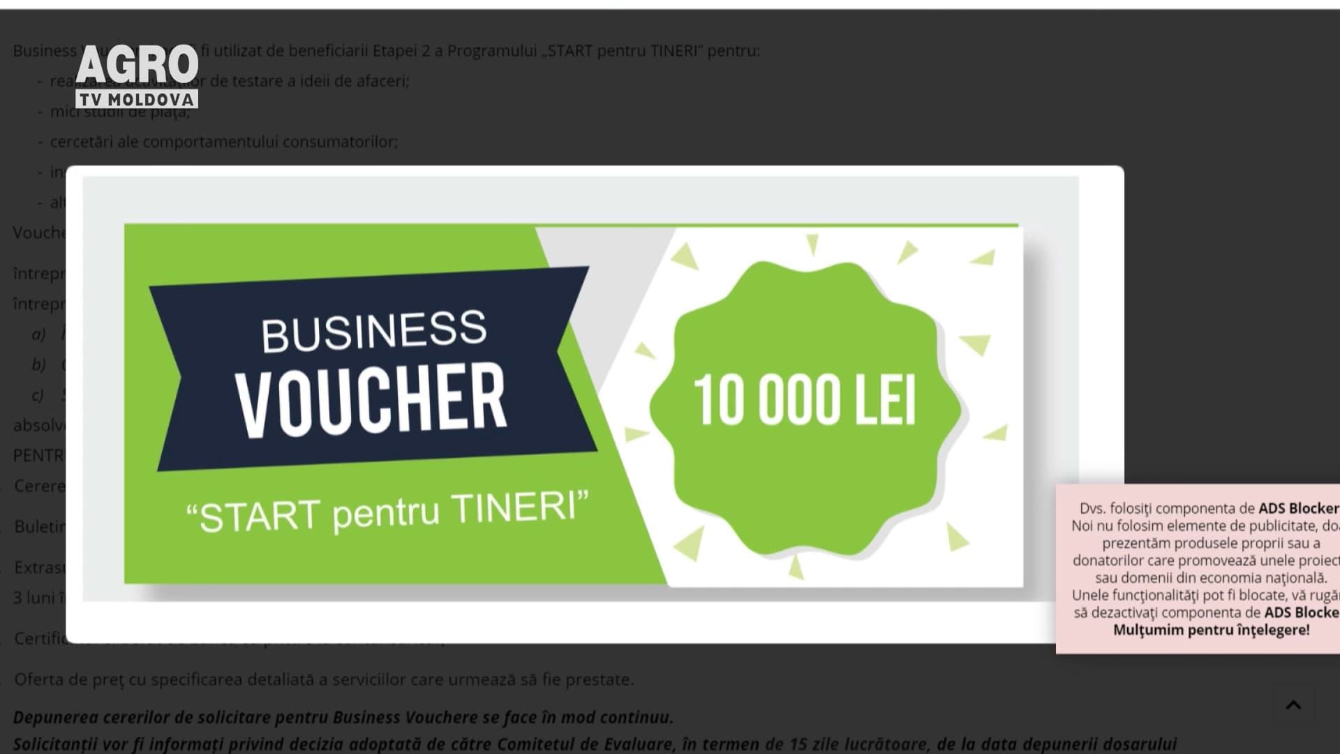 Business vouchere pentru tineri