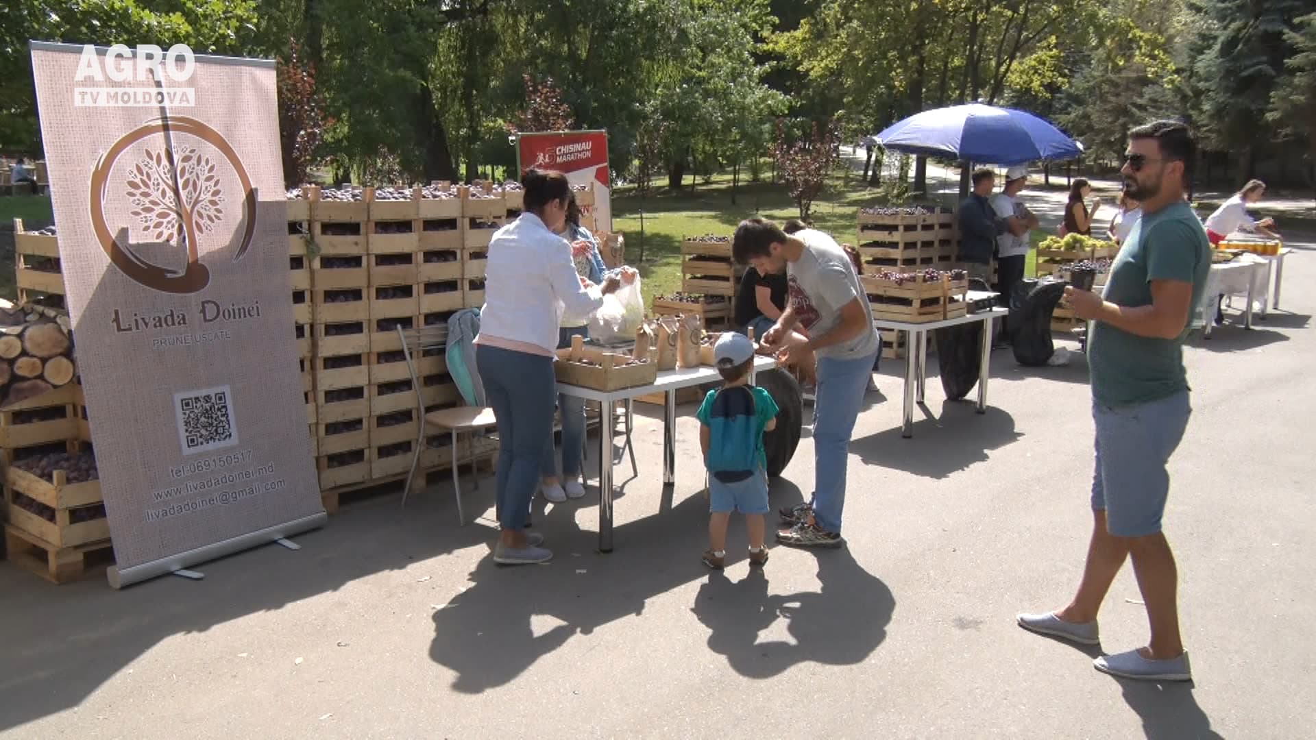 Graficul comerțului stradal în capitală
