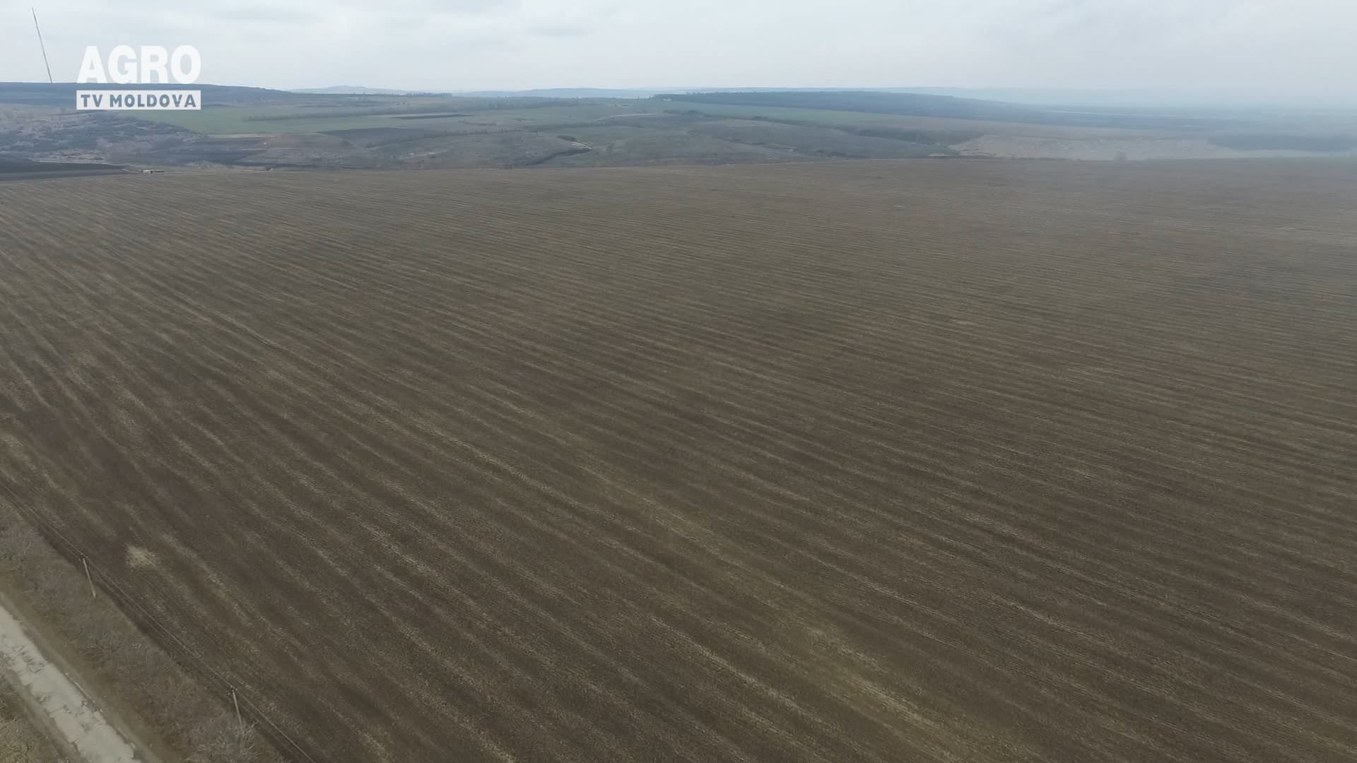 Moldova, lovită de secetă
