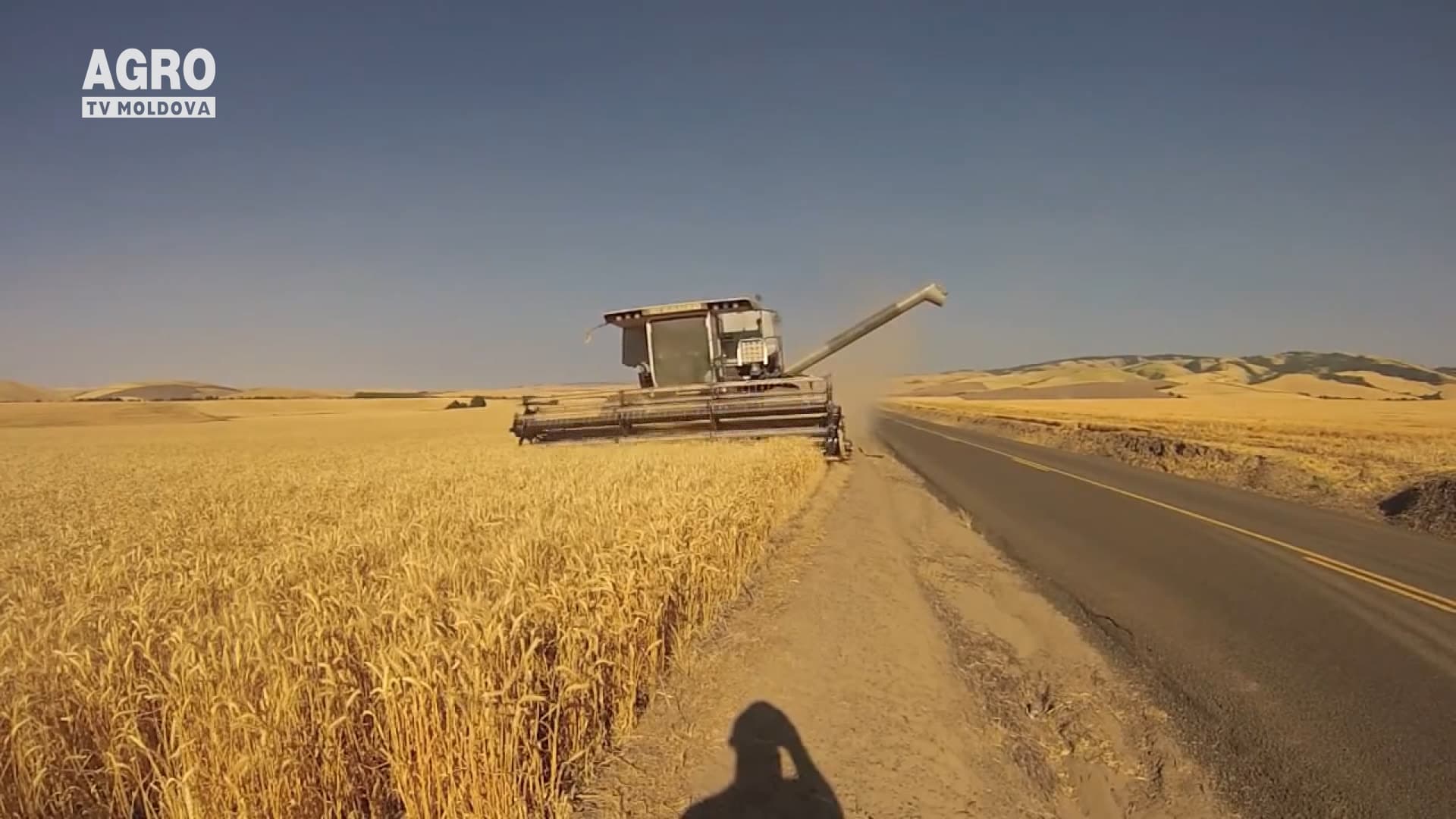 Prețul la grâu, în creștere