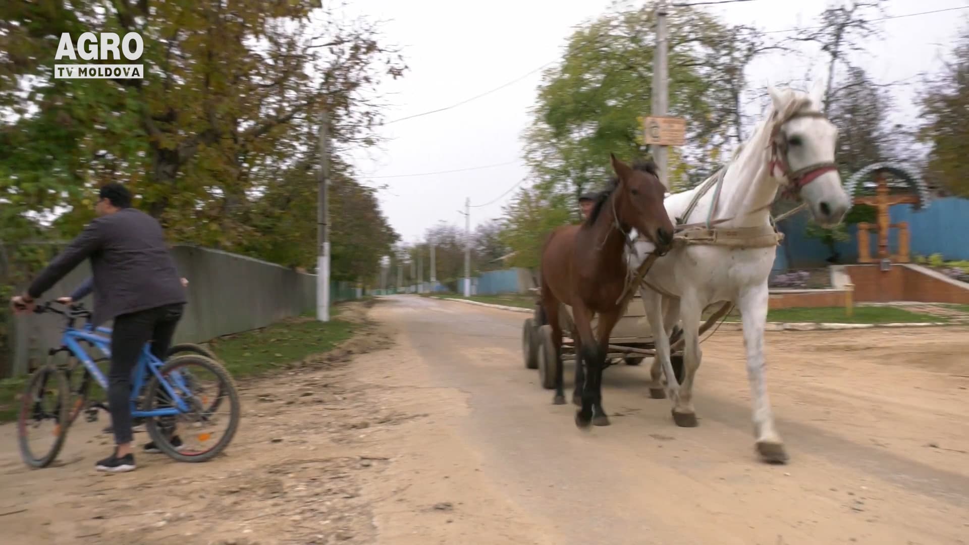”De la trapă la sapă”, ediția a opta