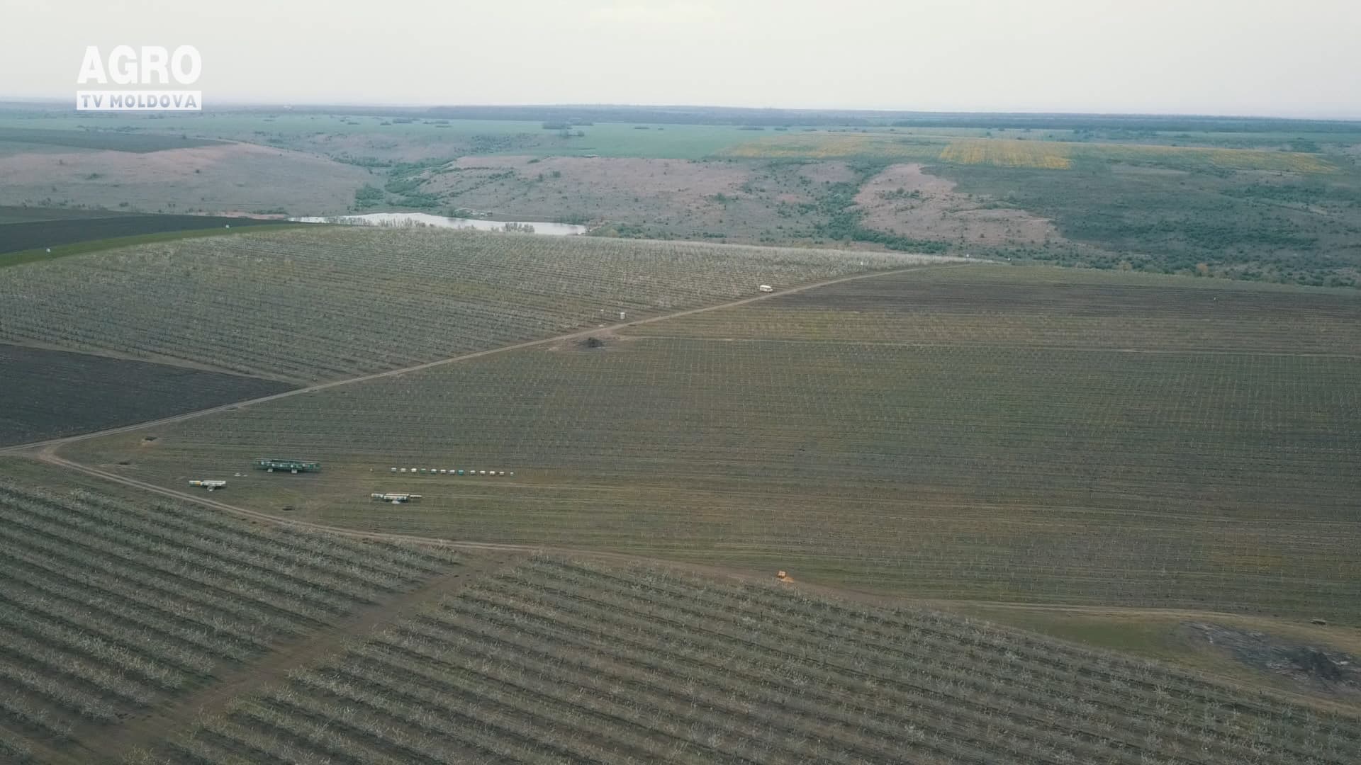 Agricultură cu mască