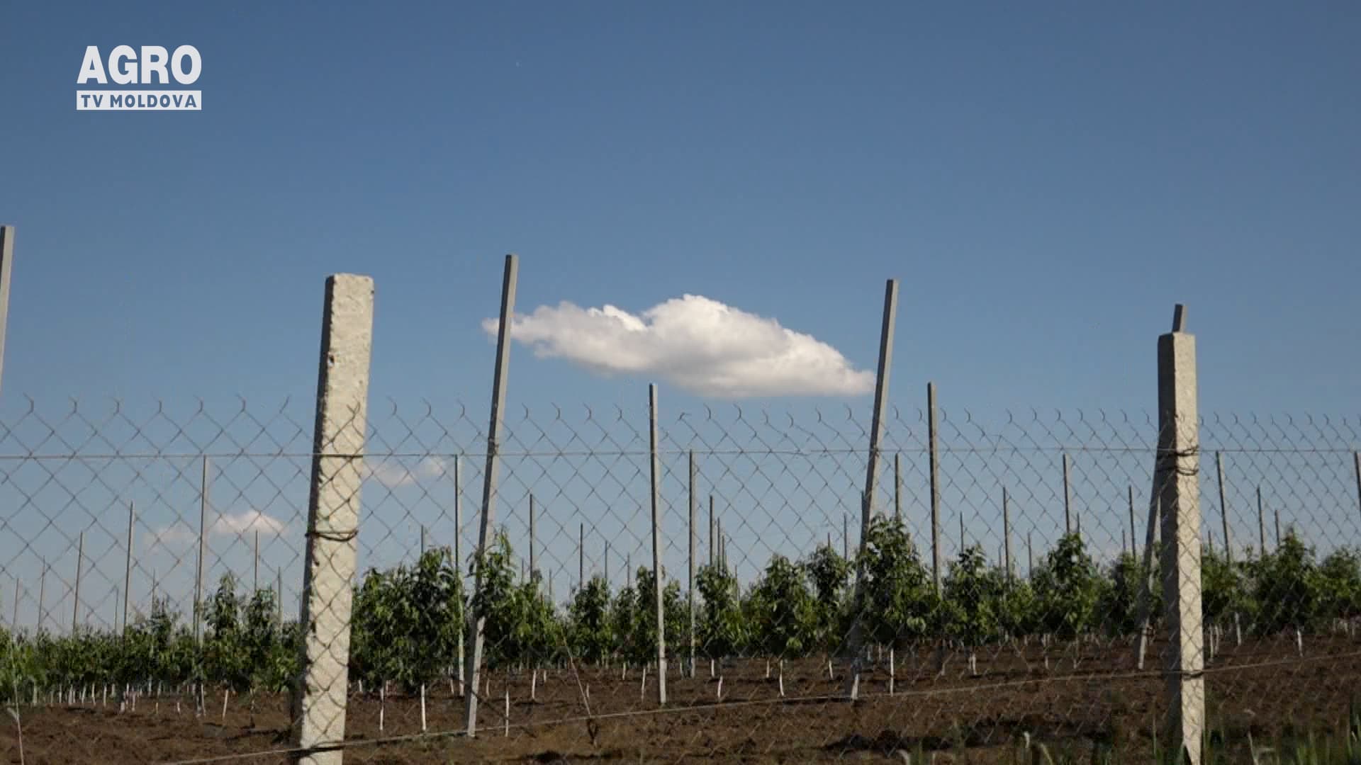 Agricultura la raport ministerial
