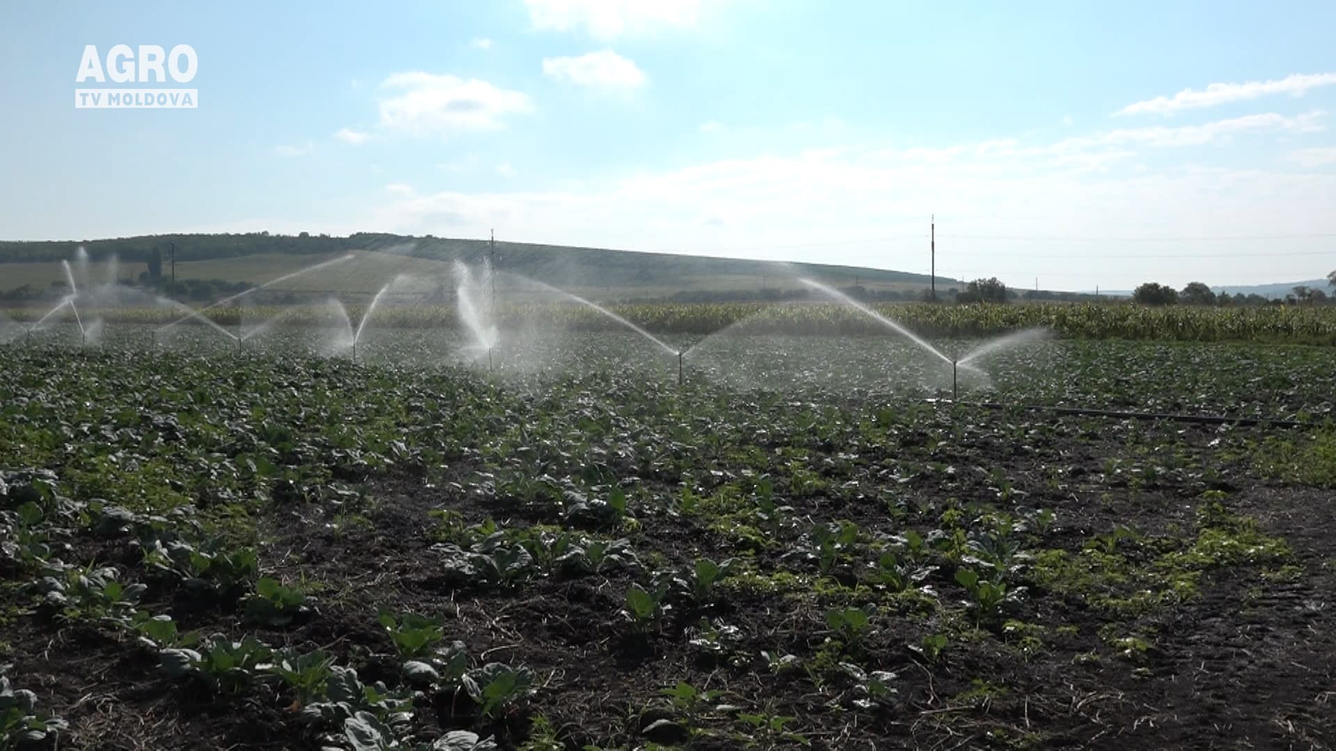 Agricultura, neputincioasă fără sisteme de irigare
