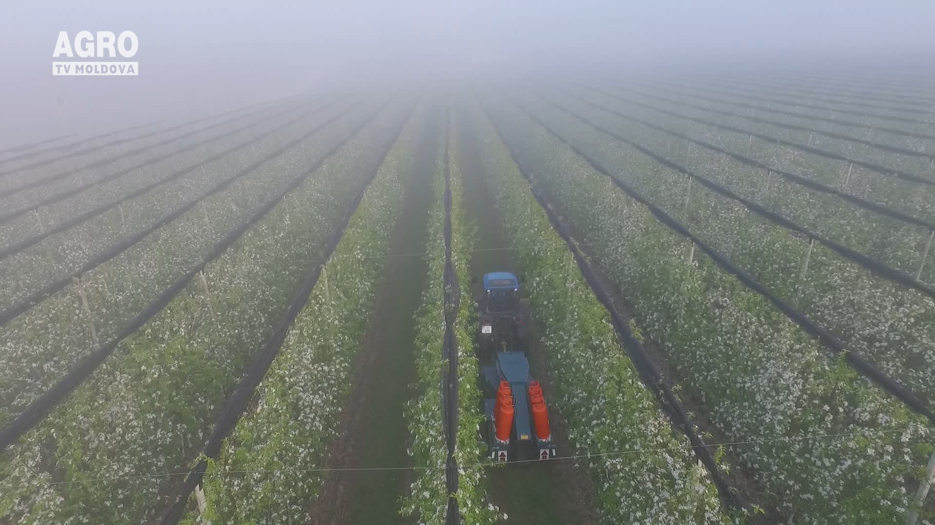 Asigurările în agricultură, tot mai discutate
