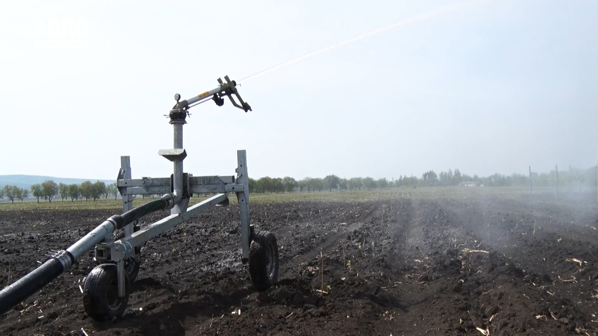 Seceta, pericol pentru agricultură