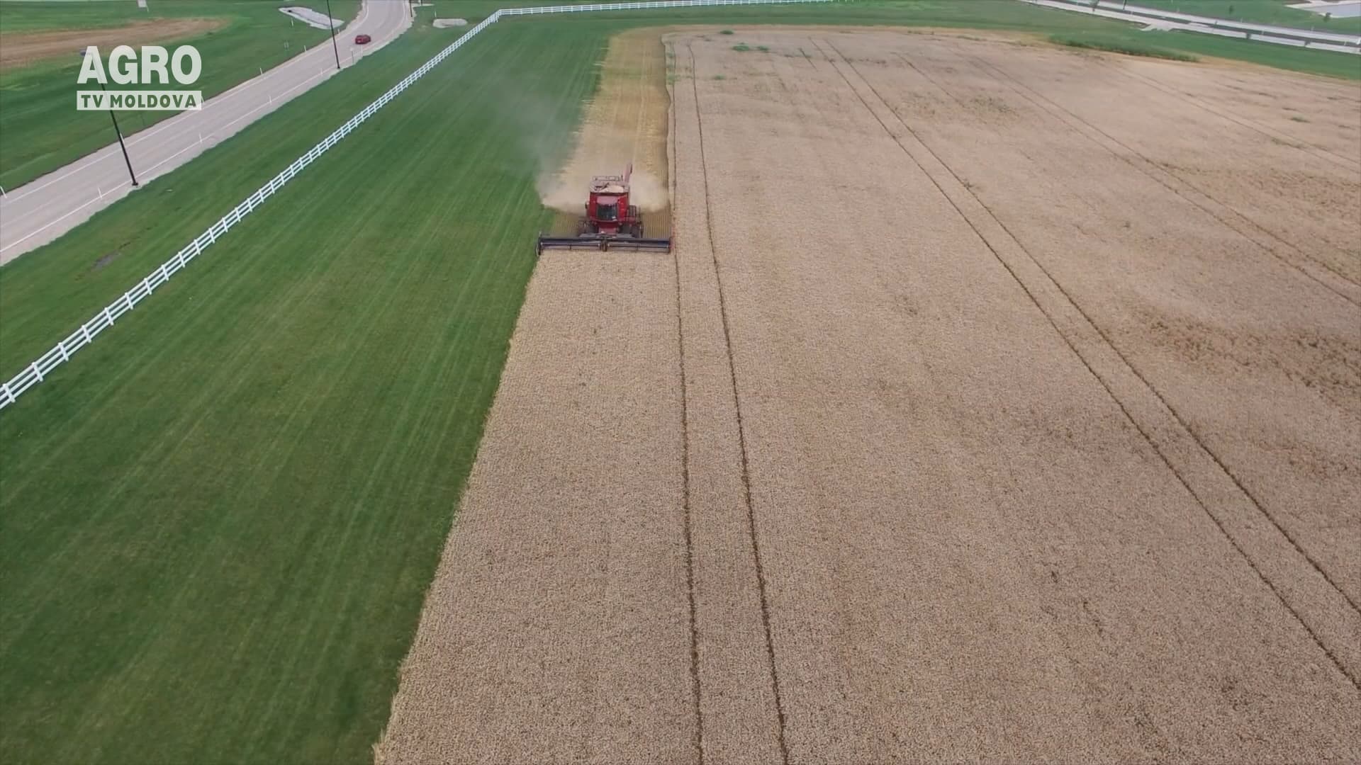 Seceta va reduce producția de grâu a României