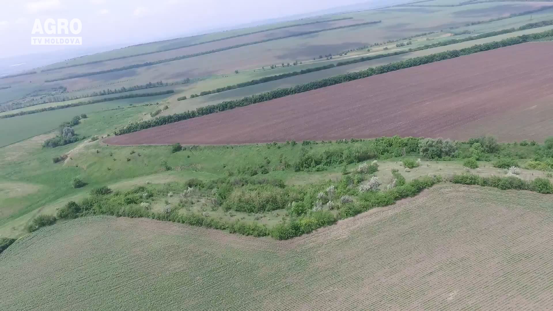Domeniul agricol necesită susținere
