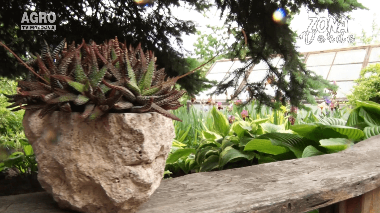 ZONA VERDE – Decorațiuni din piatră pentru grădini cu stil