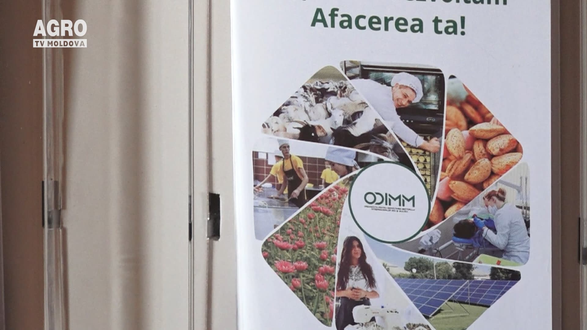 Suport pentru digitalizarea afacerilor