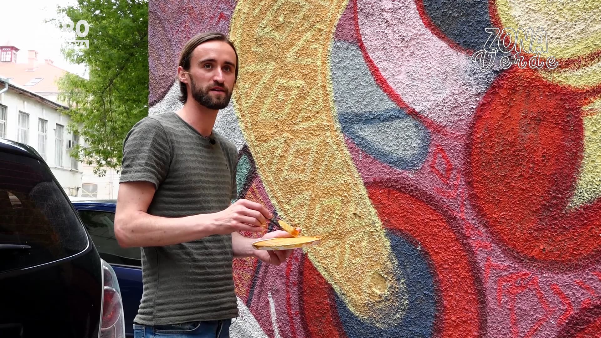 ZONA VERDE - PICTURI MURALE