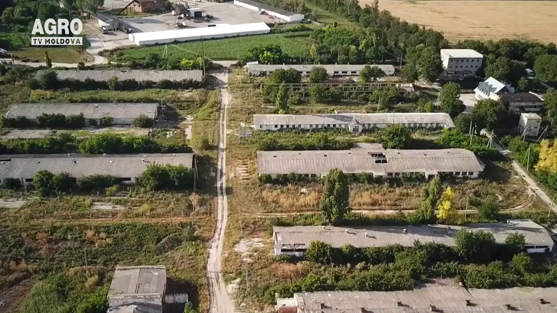 Afacere cu prepelițe, afectată de pandemie