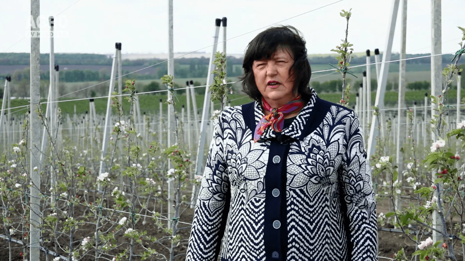 DESPRE NOI, ALTFEL – istoria de succes a Tatianei PAVLIUC. Partener MAIB (17.07.2020)