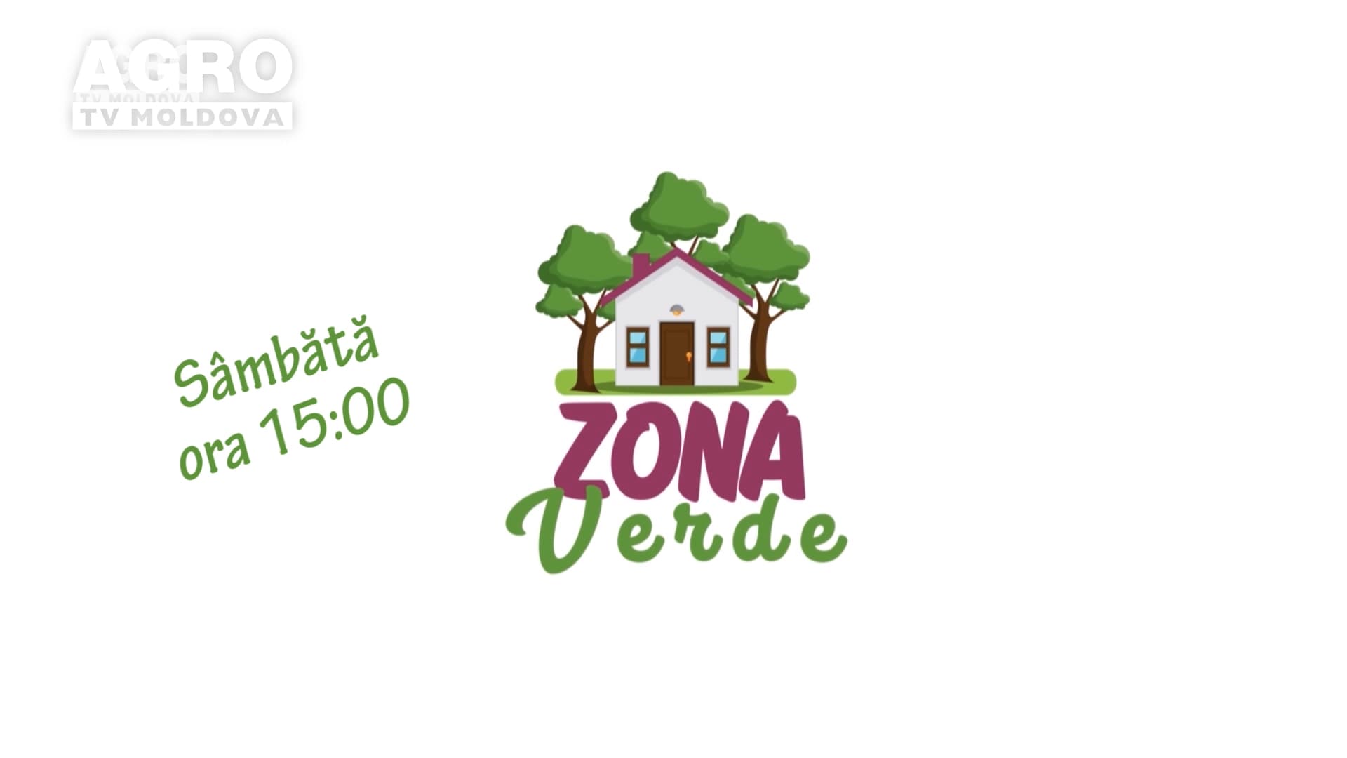 Serviciile de înverzire pentru birouri și spații închise-o nouă tendință