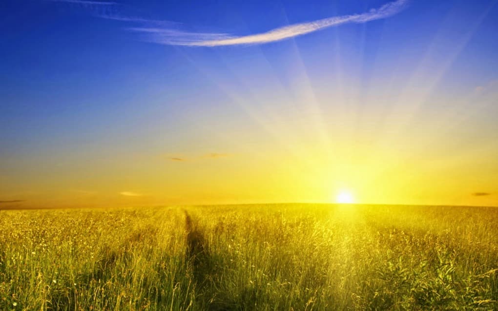 Temperaturi de până la +35 °C, prognozează meteorologii