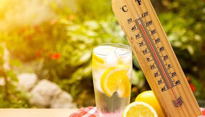 Temperaturi de până +35°C